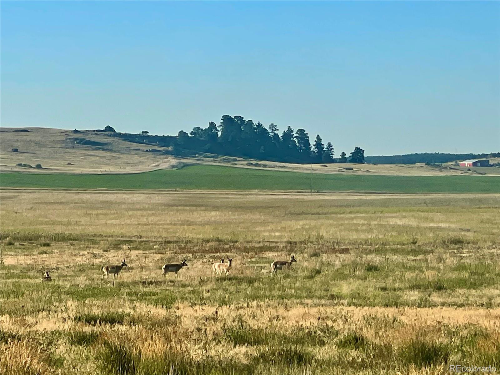 Craven Lot 1 Elbert CO 80106