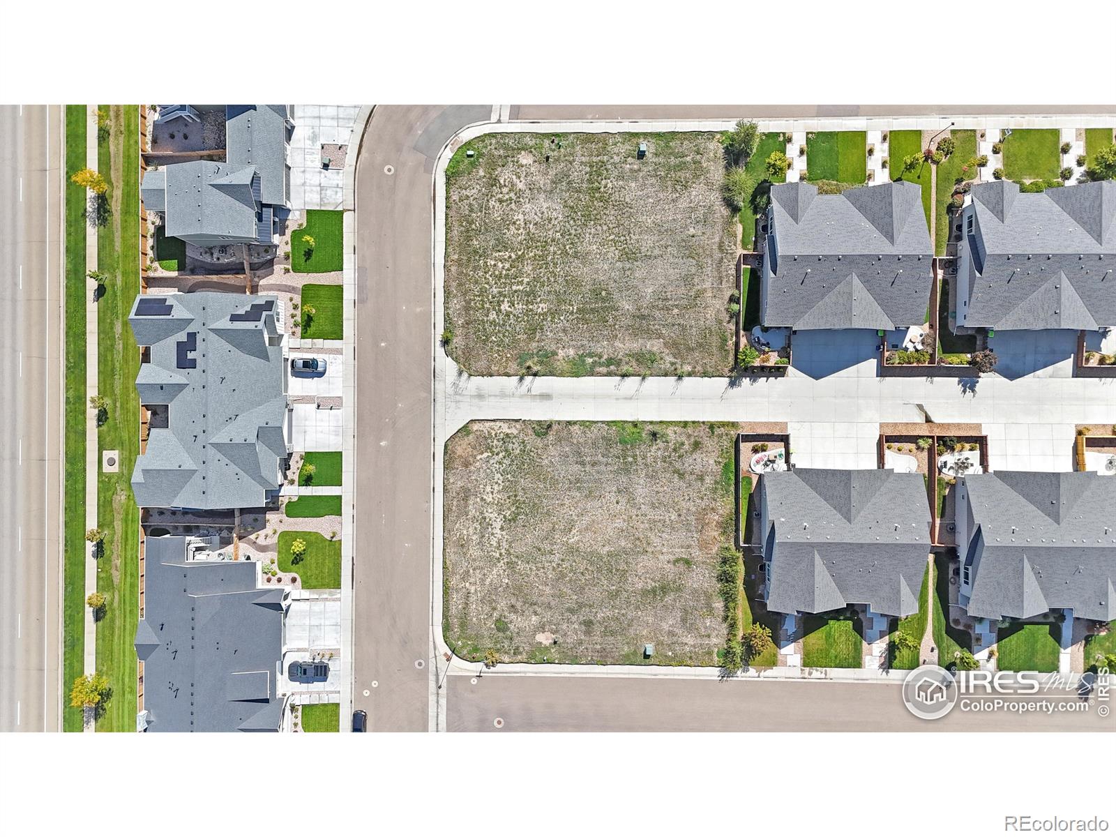 273 Turnberry Drive Windsor CO 80550