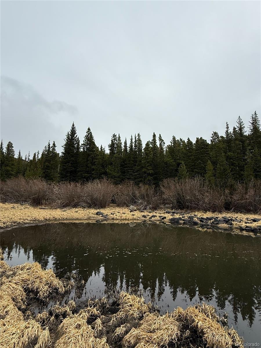 91 Lake Road Idaho Springs CO 80452