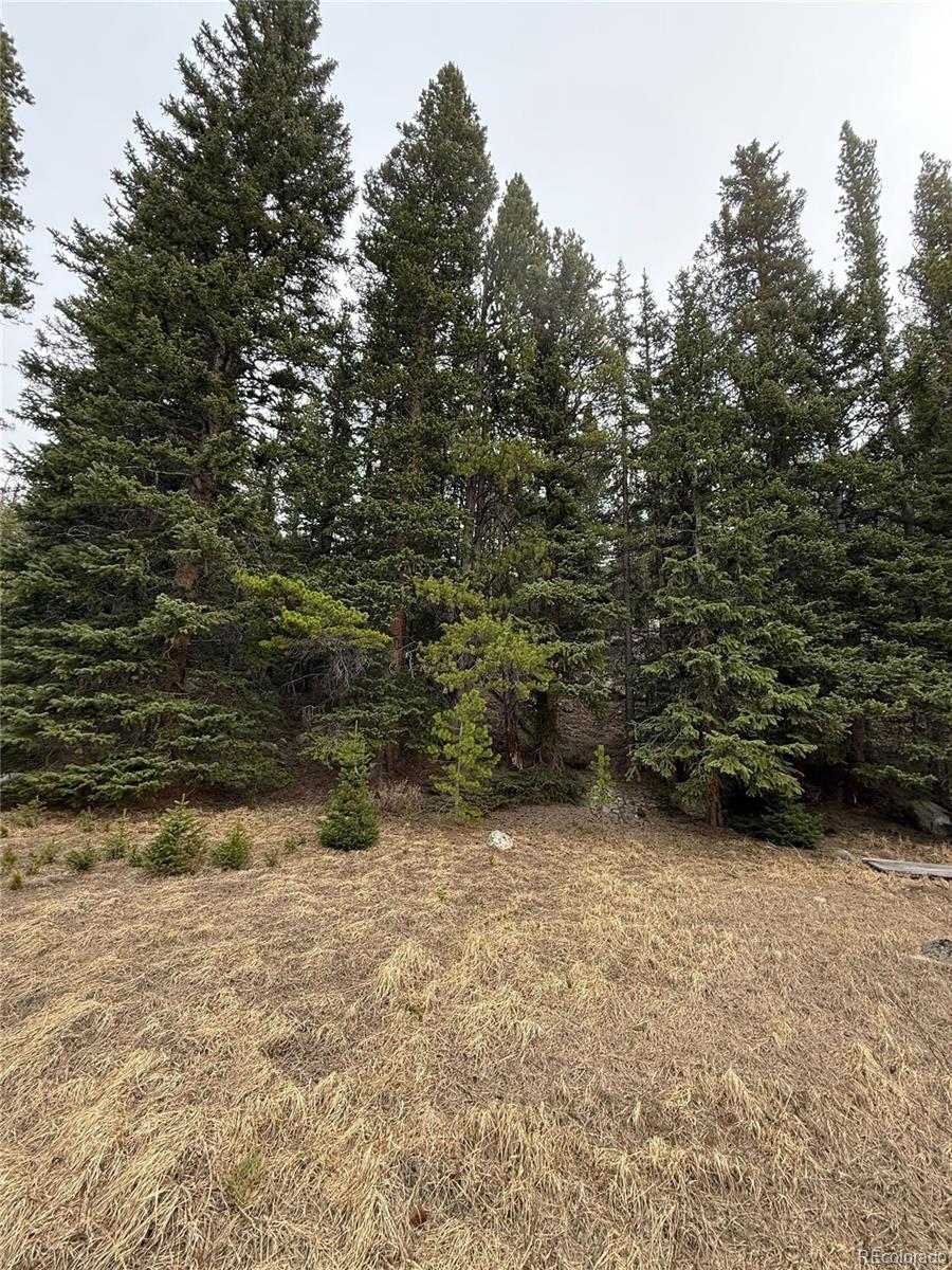 91 Lake Road Idaho Springs CO 80452