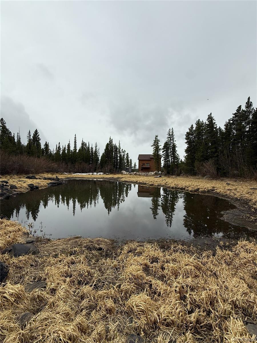 91 Lake Road Idaho Springs CO 80452