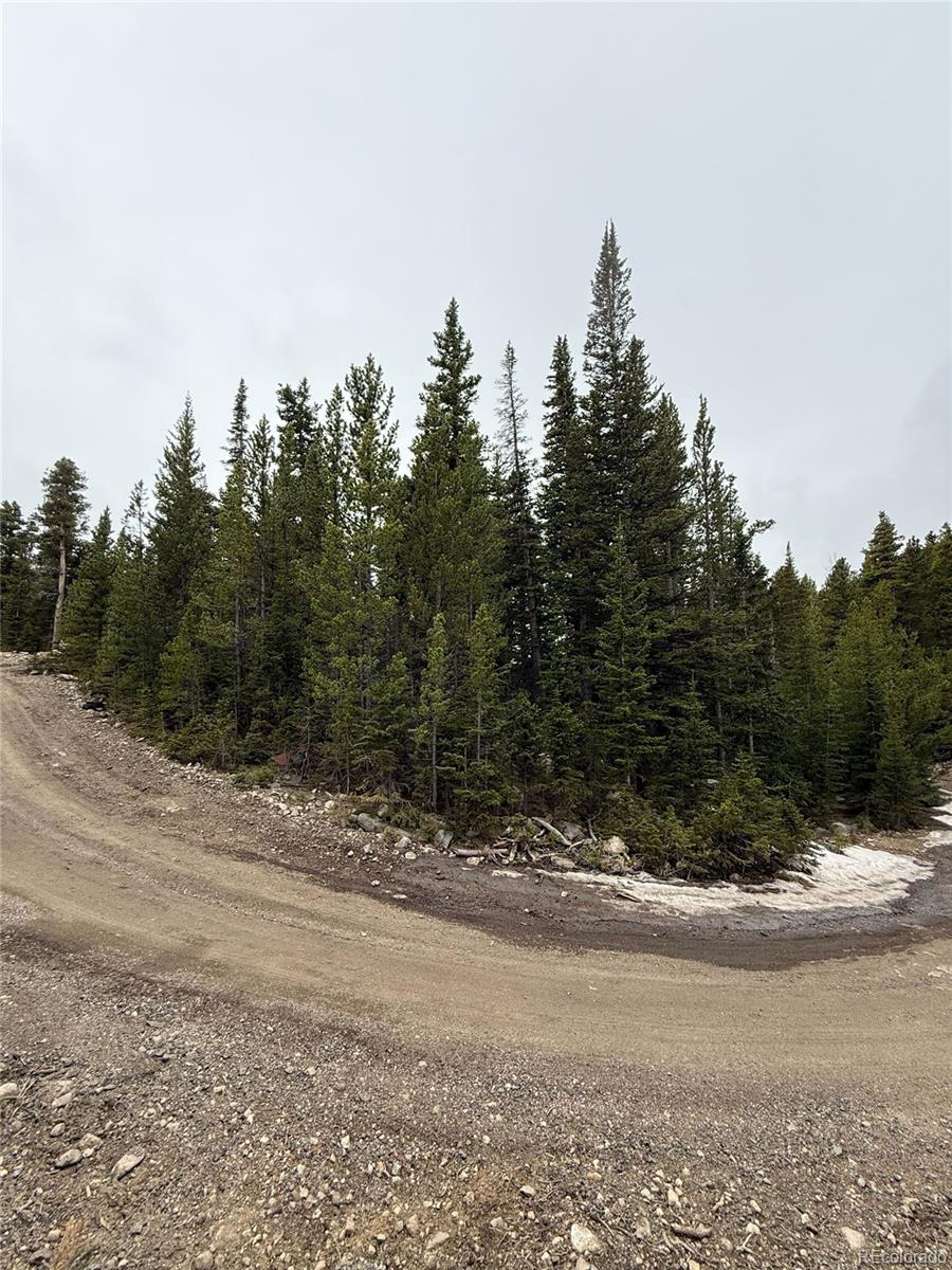 91 Lake Road Idaho Springs CO 80452