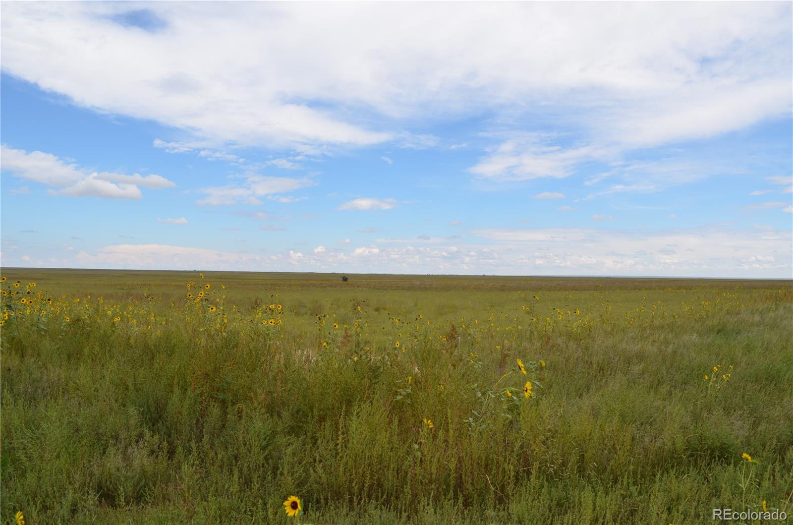 Parcel 8 County Road V Rush CO 80833