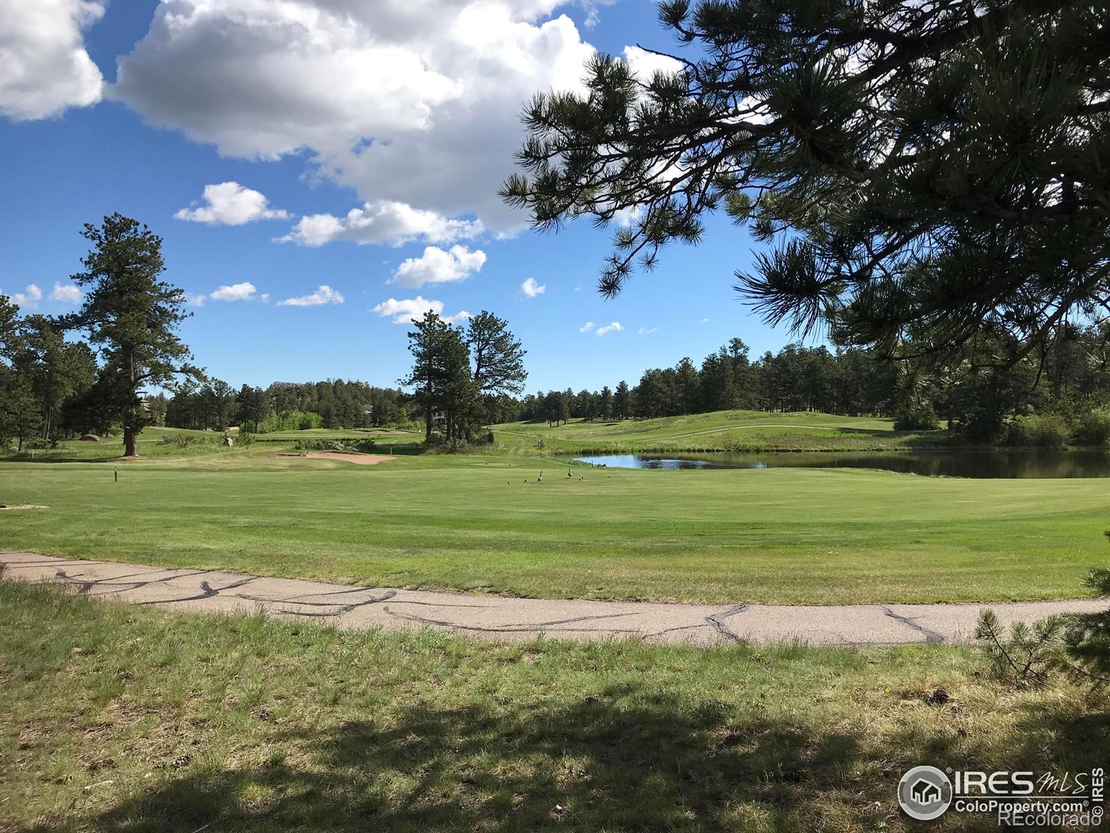 3 Fox Meadow Lane Red Feather Lakes CO 80545