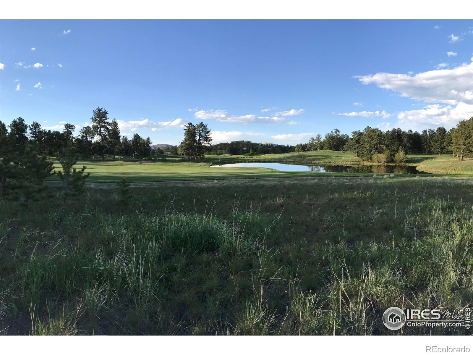 3 Fox Meadow Lane Red Feather Lakes CO 80545