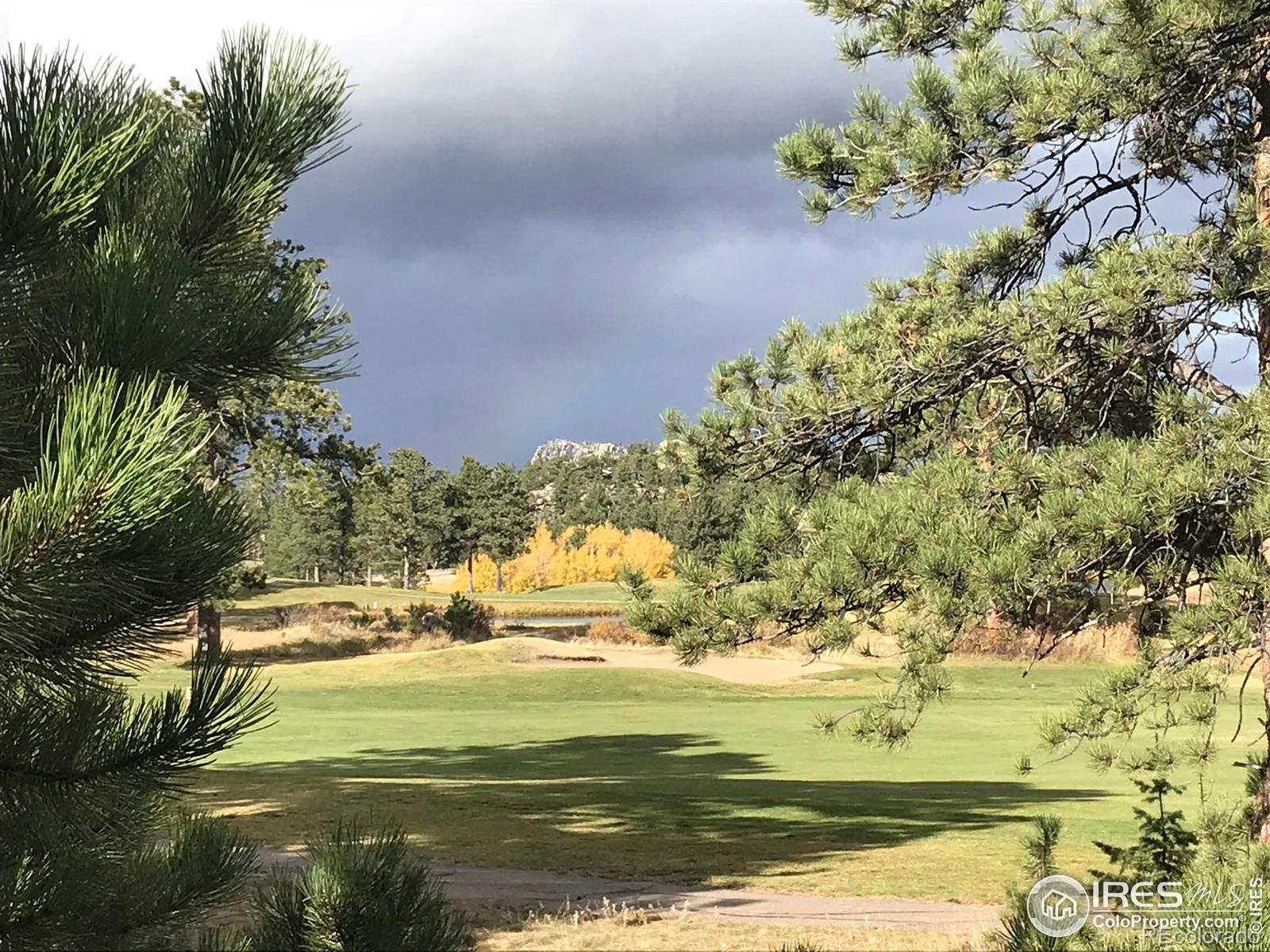 3 Fox Meadow Lane Red Feather Lakes CO 80545