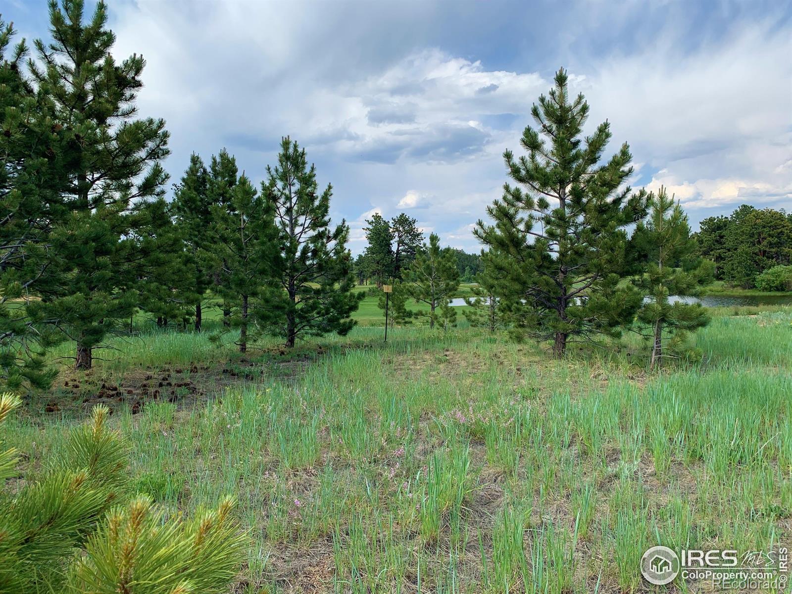 3 Fox Meadow Lane Red Feather Lakes CO 80545