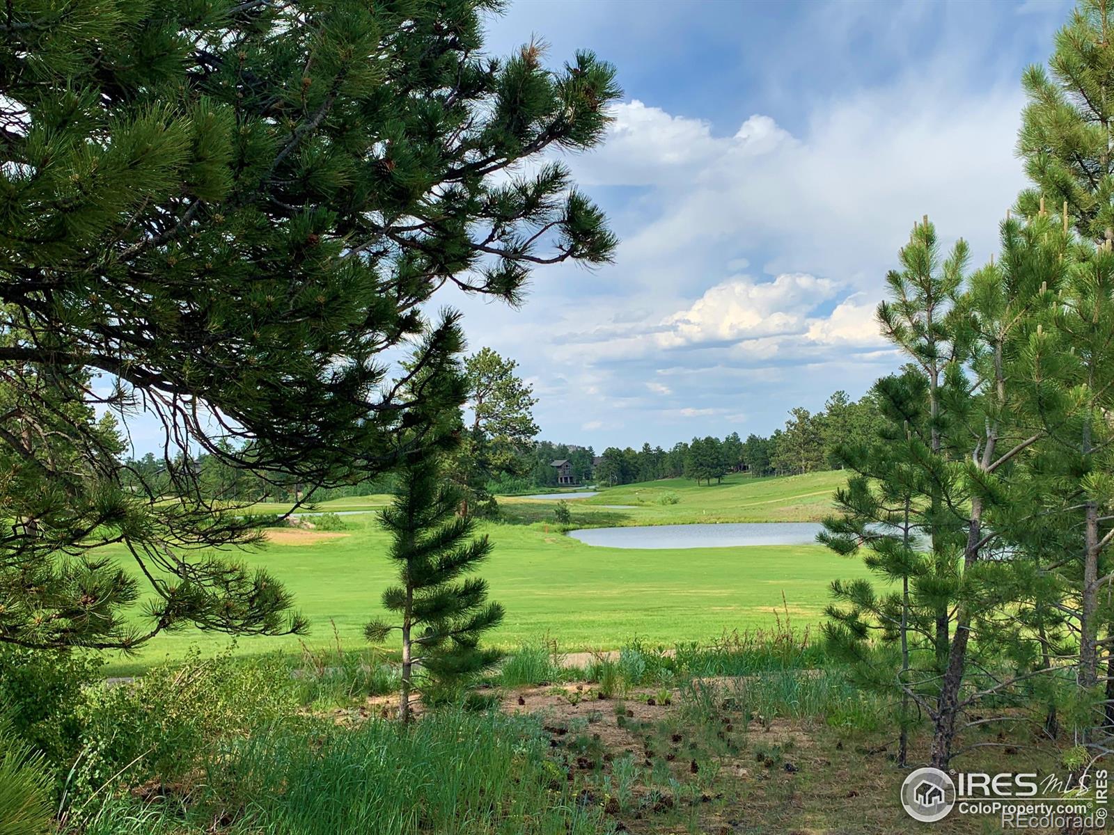 3 Fox Meadow Lane Red Feather Lakes CO 80545