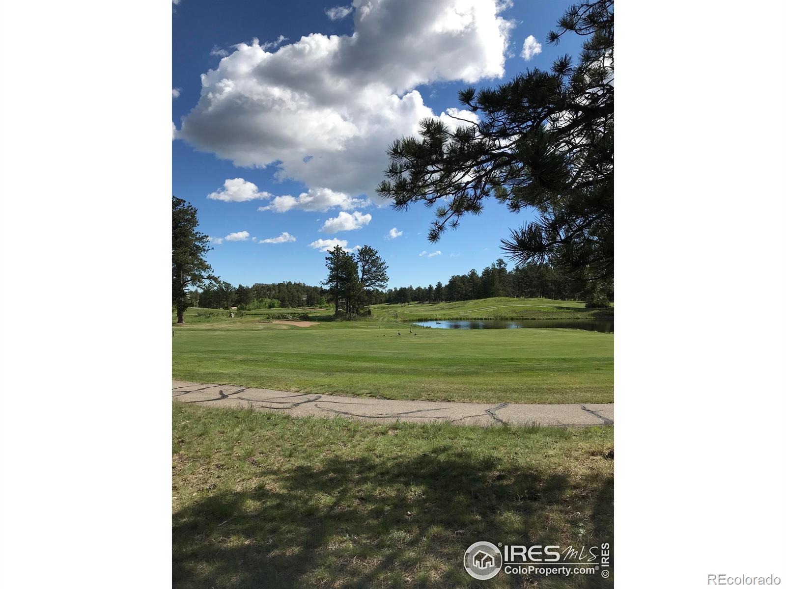 3 Fox Meadow Lane Red Feather Lakes CO 80545