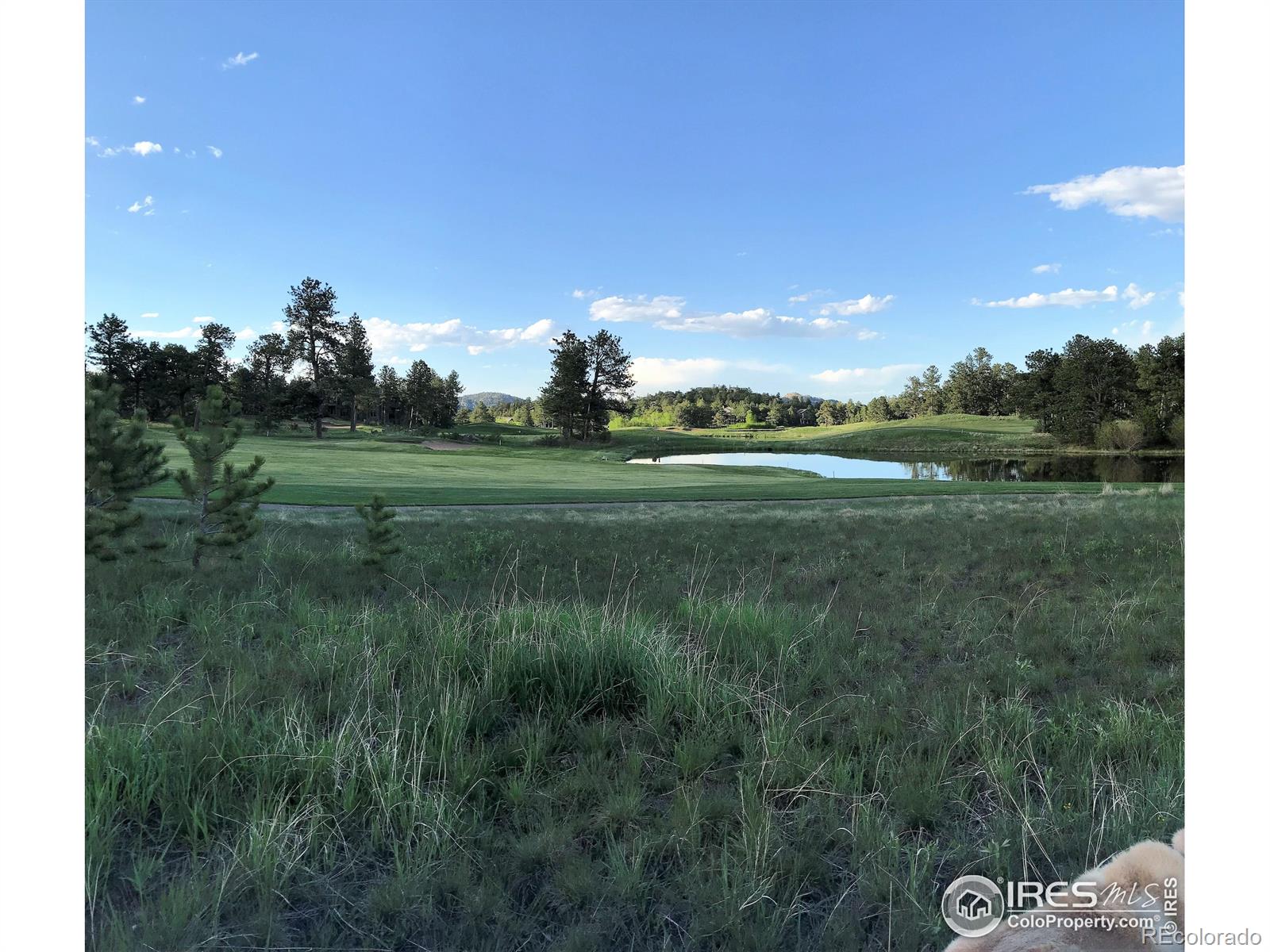 3 Fox Meadow Lane Red Feather Lakes CO 80545