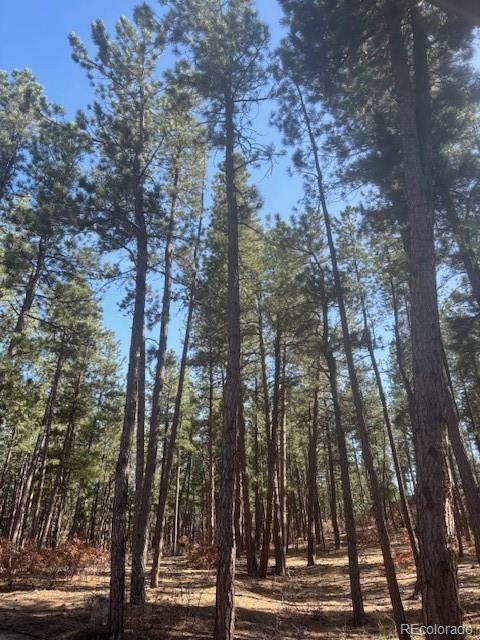 560 Princess Road Cripple Creek CO 80813