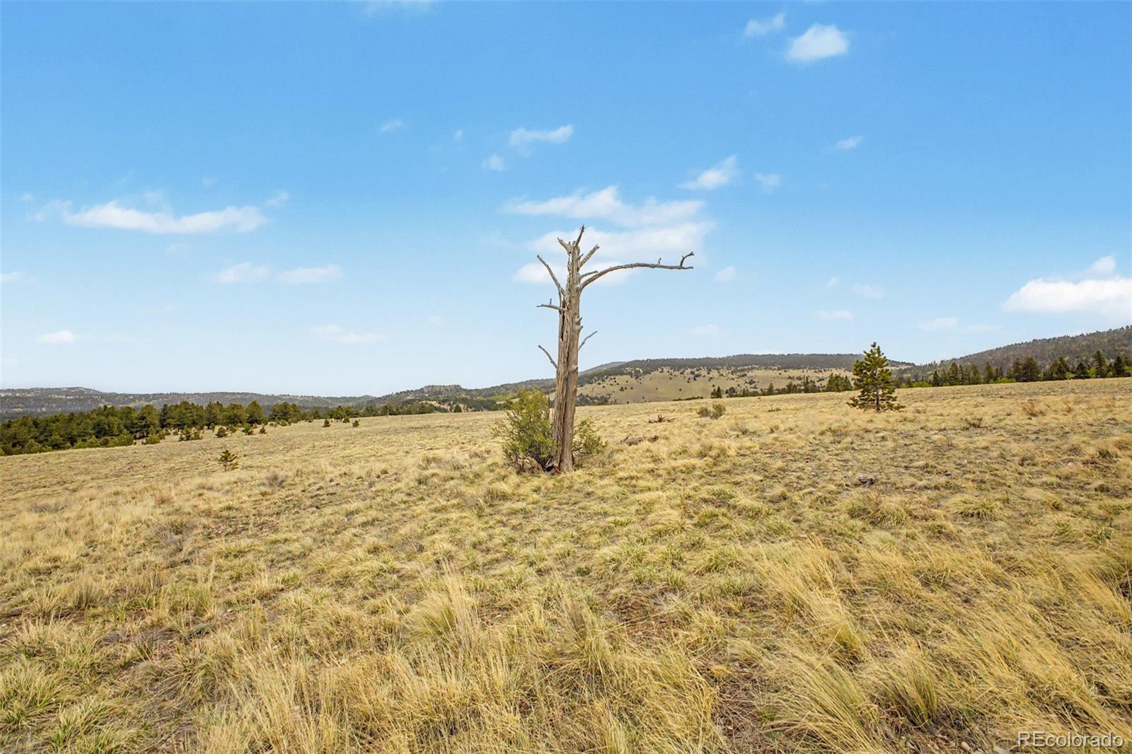 0 Ranger Station Road Florissant CO 80816