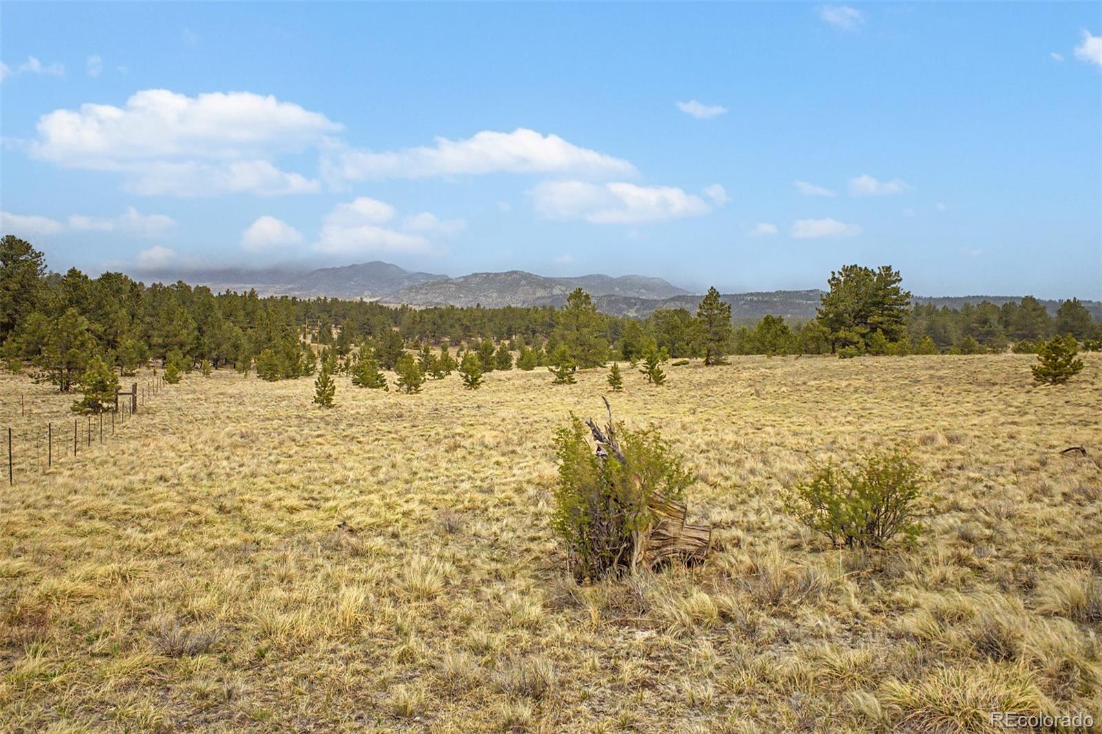 0 Ranger Station Road Florissant CO 80816
