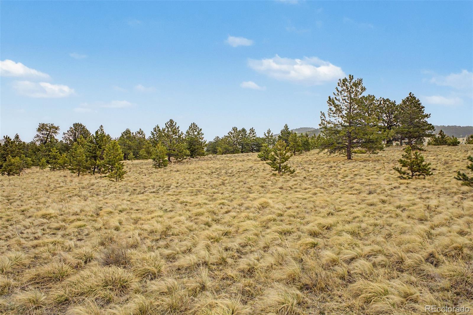 0 Ranger Station Road Florissant CO 80816