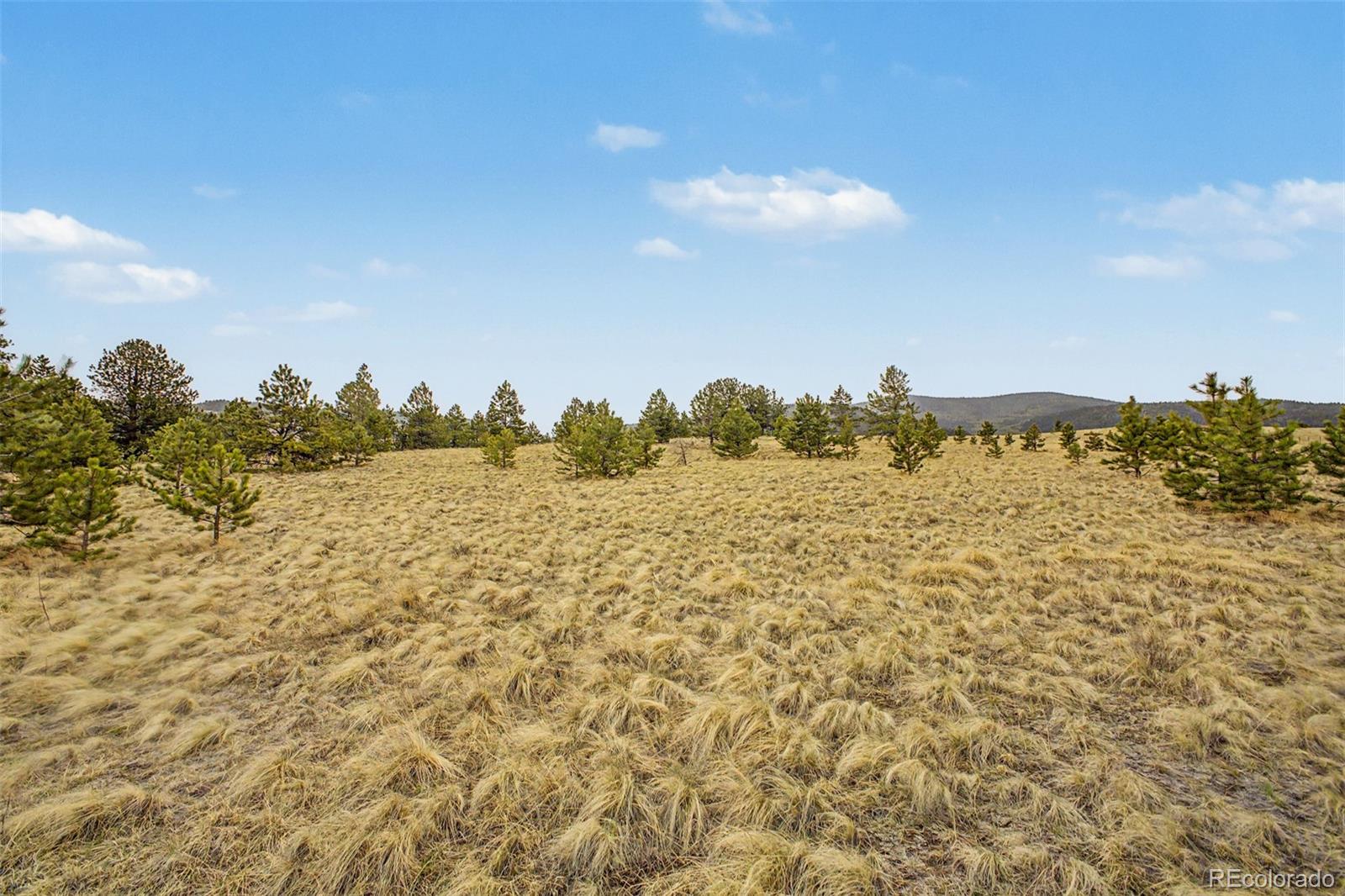 0 Ranger Station Road Florissant CO 80816