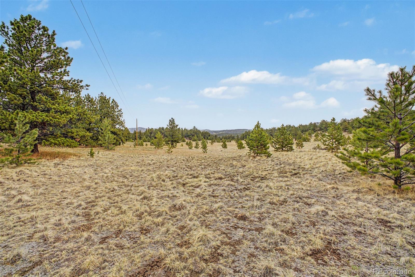 0 Ranger Station Road Florissant CO 80816
