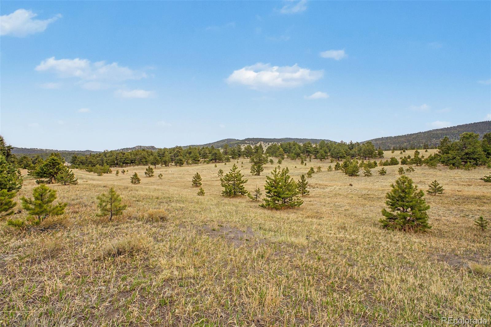 0 Ranger Station Road Florissant CO 80816