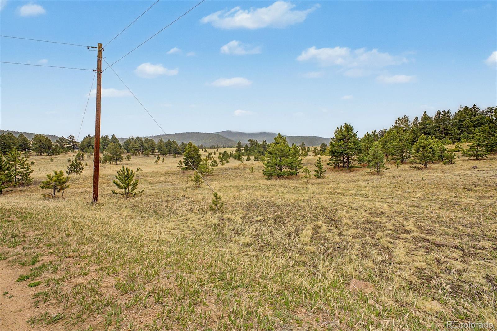 0 Ranger Station Road Florissant CO 80816
