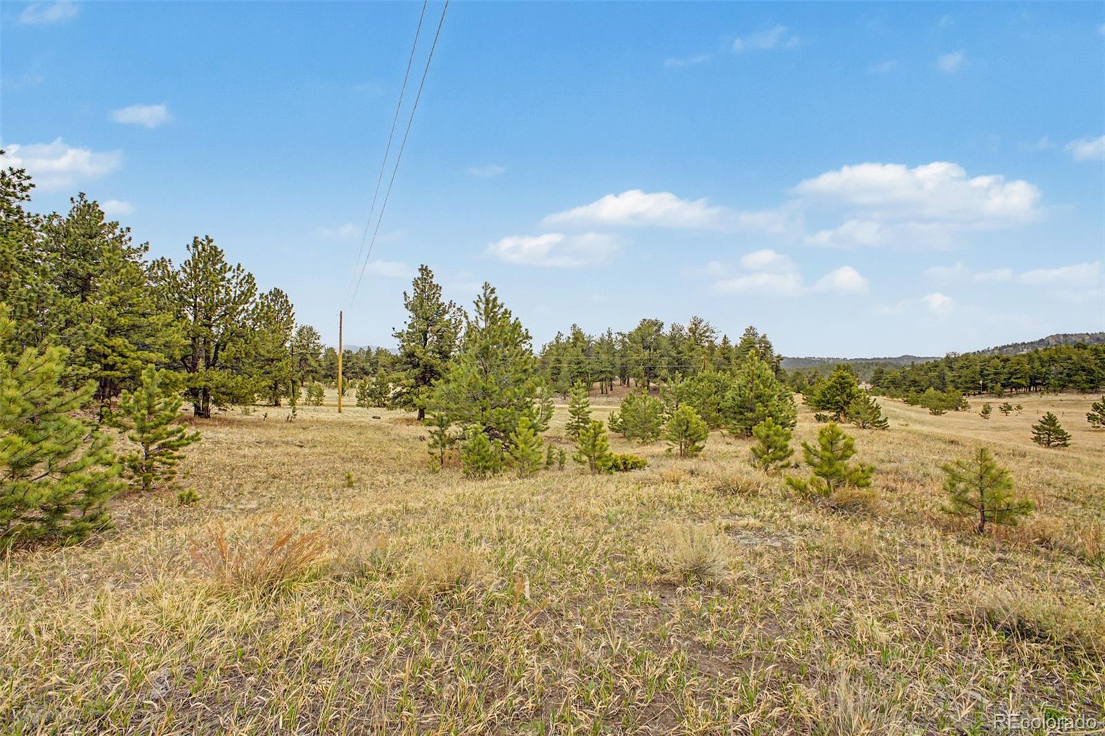 0 Ranger Station Road Florissant CO 80816