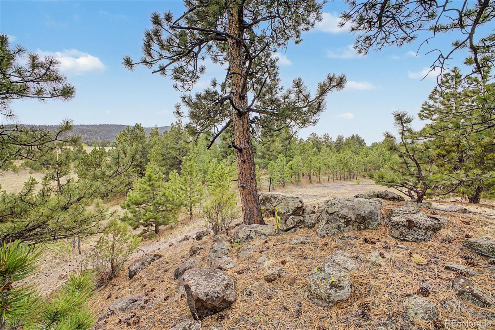 0 Ranger Station Road Florissant CO 80816
