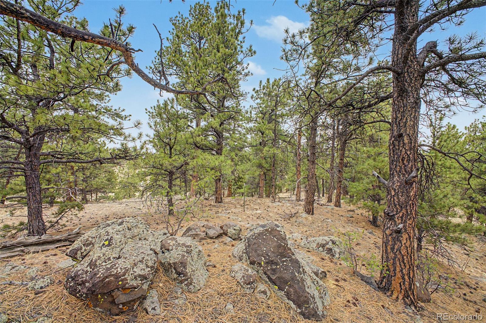 0 Ranger Station Road Florissant CO 80816