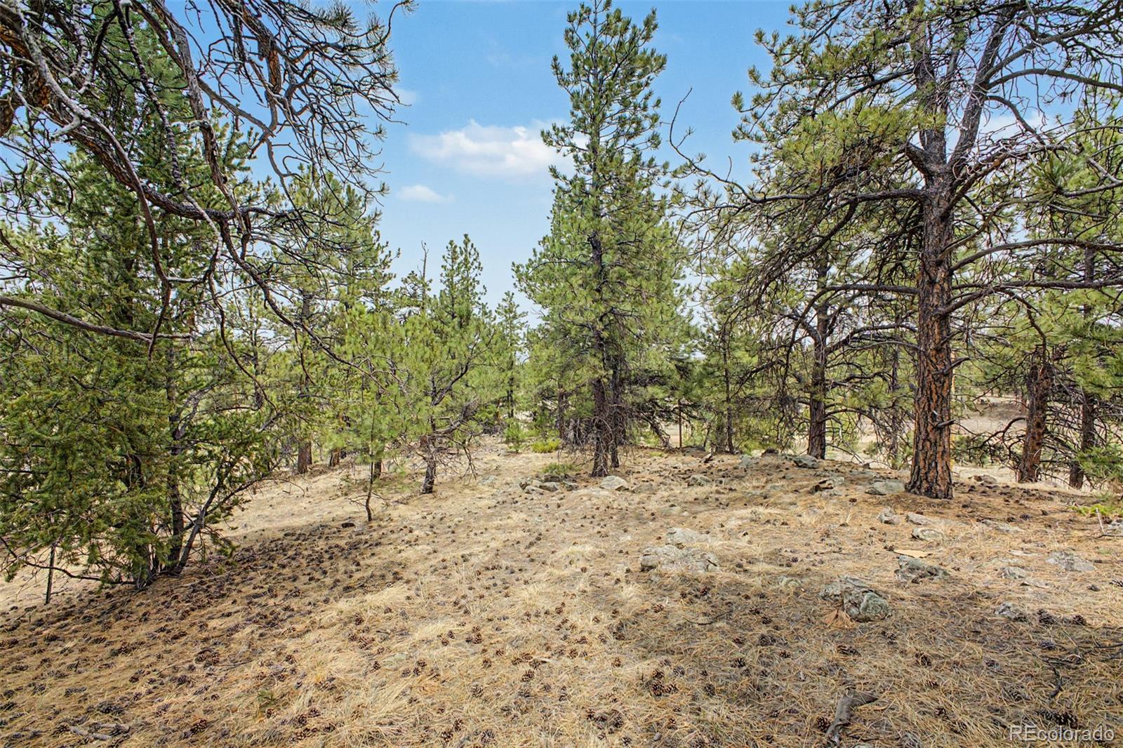 0 Ranger Station Road Florissant CO 80816
