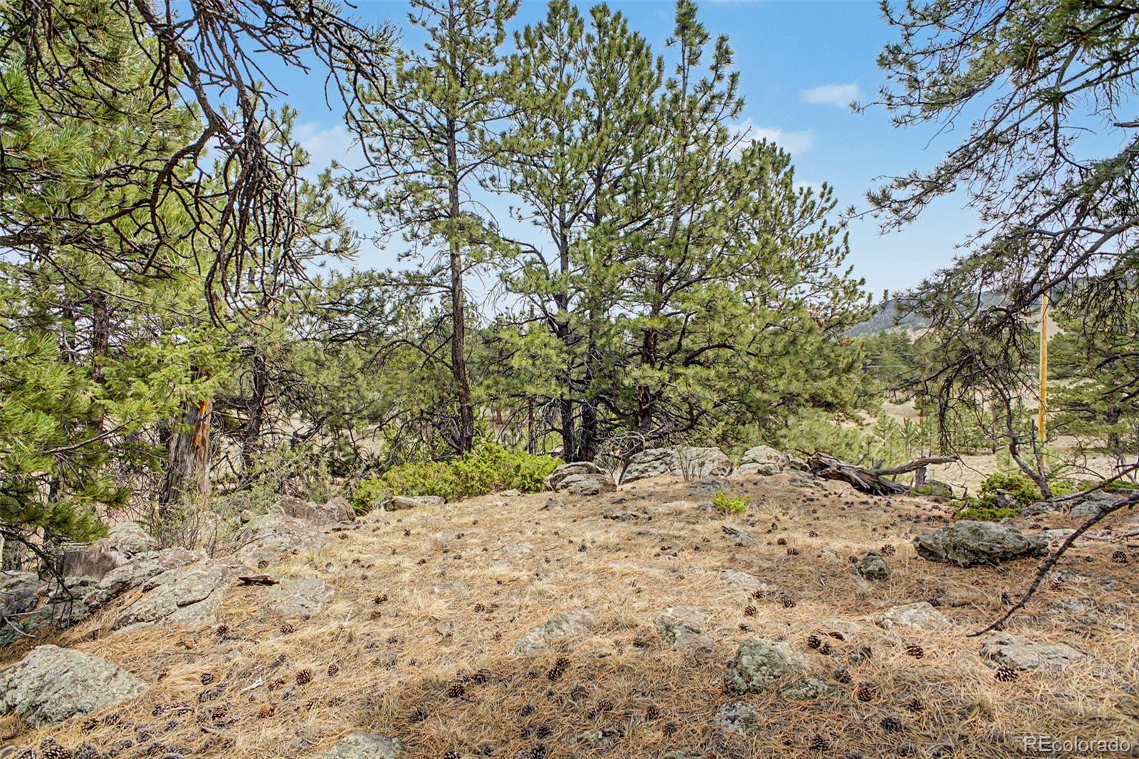 0 Ranger Station Road Florissant CO 80816