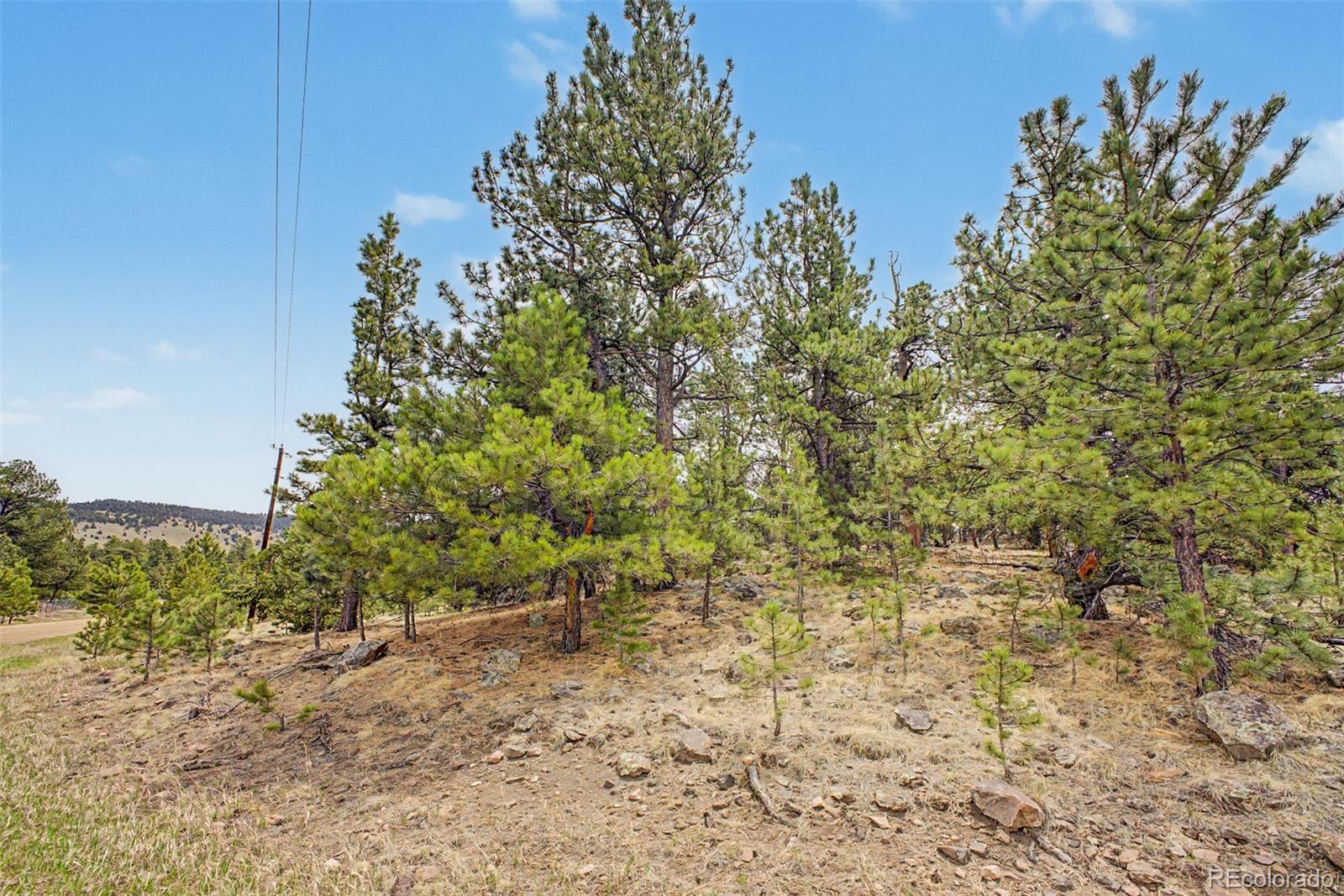 0 Ranger Station Road Florissant CO 80816