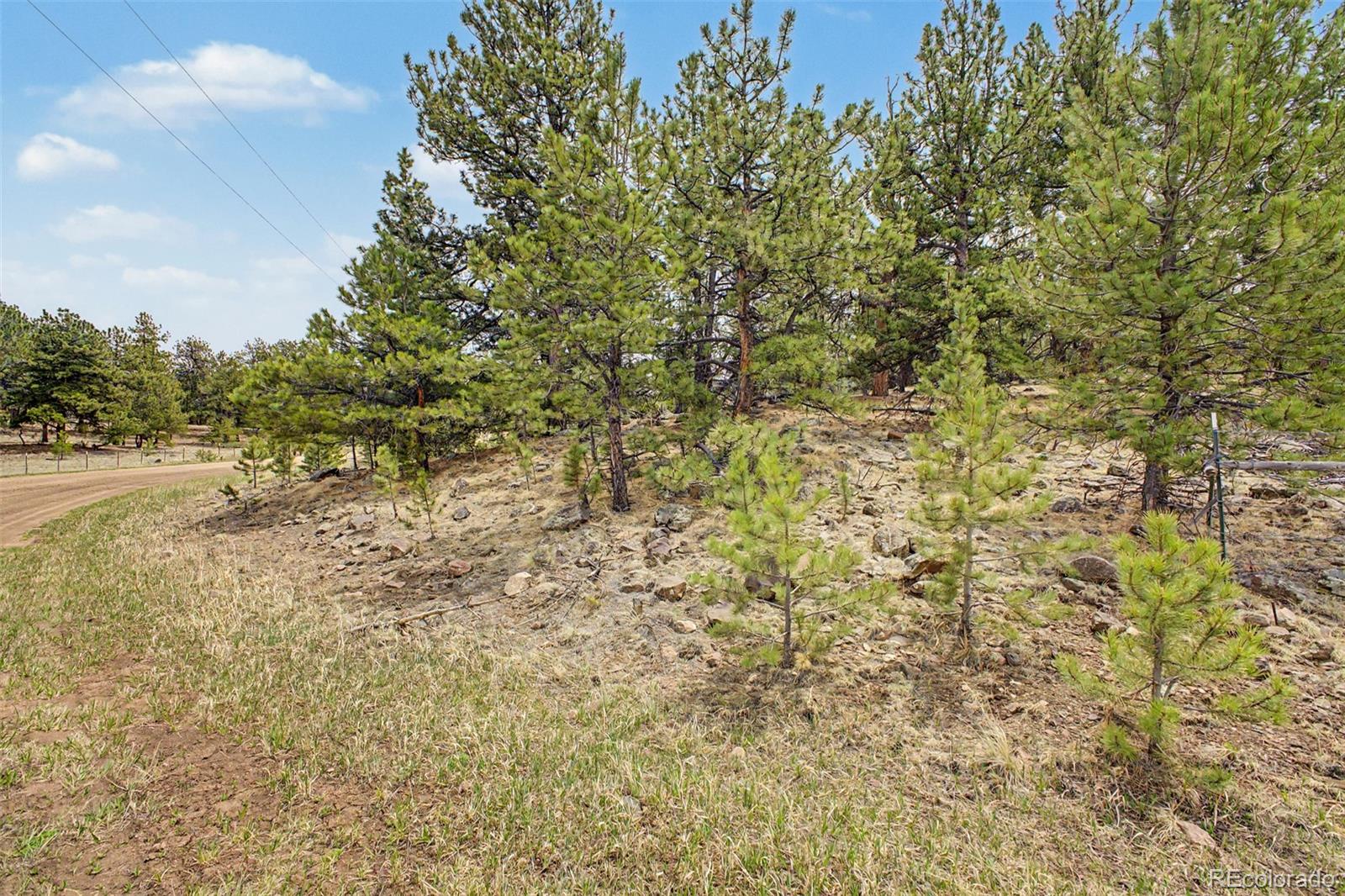 0 Ranger Station Road Florissant CO 80816