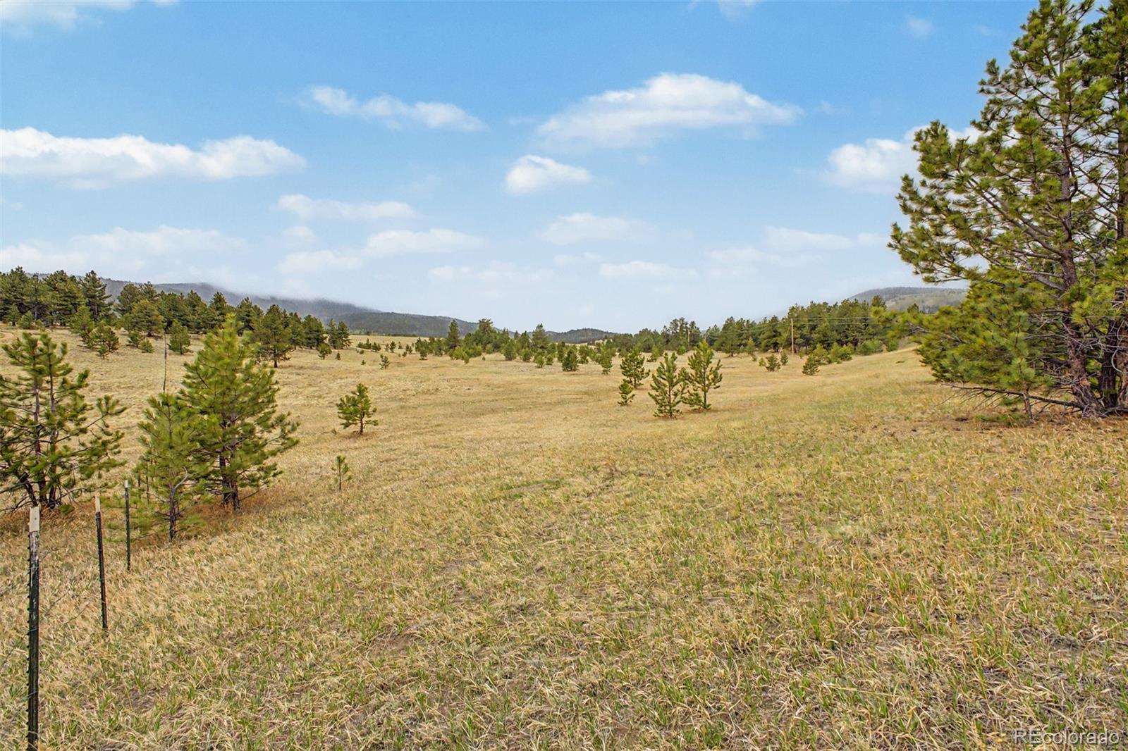 0 Ranger Station Road Florissant CO 80816