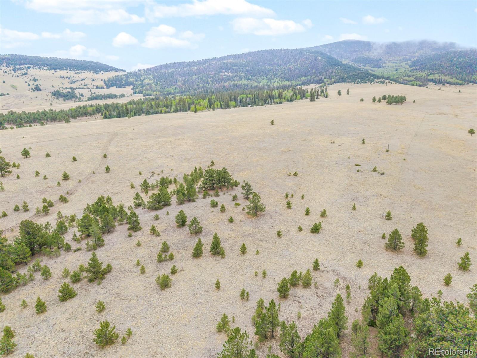 0 Ranger Station Road Florissant CO 80816
