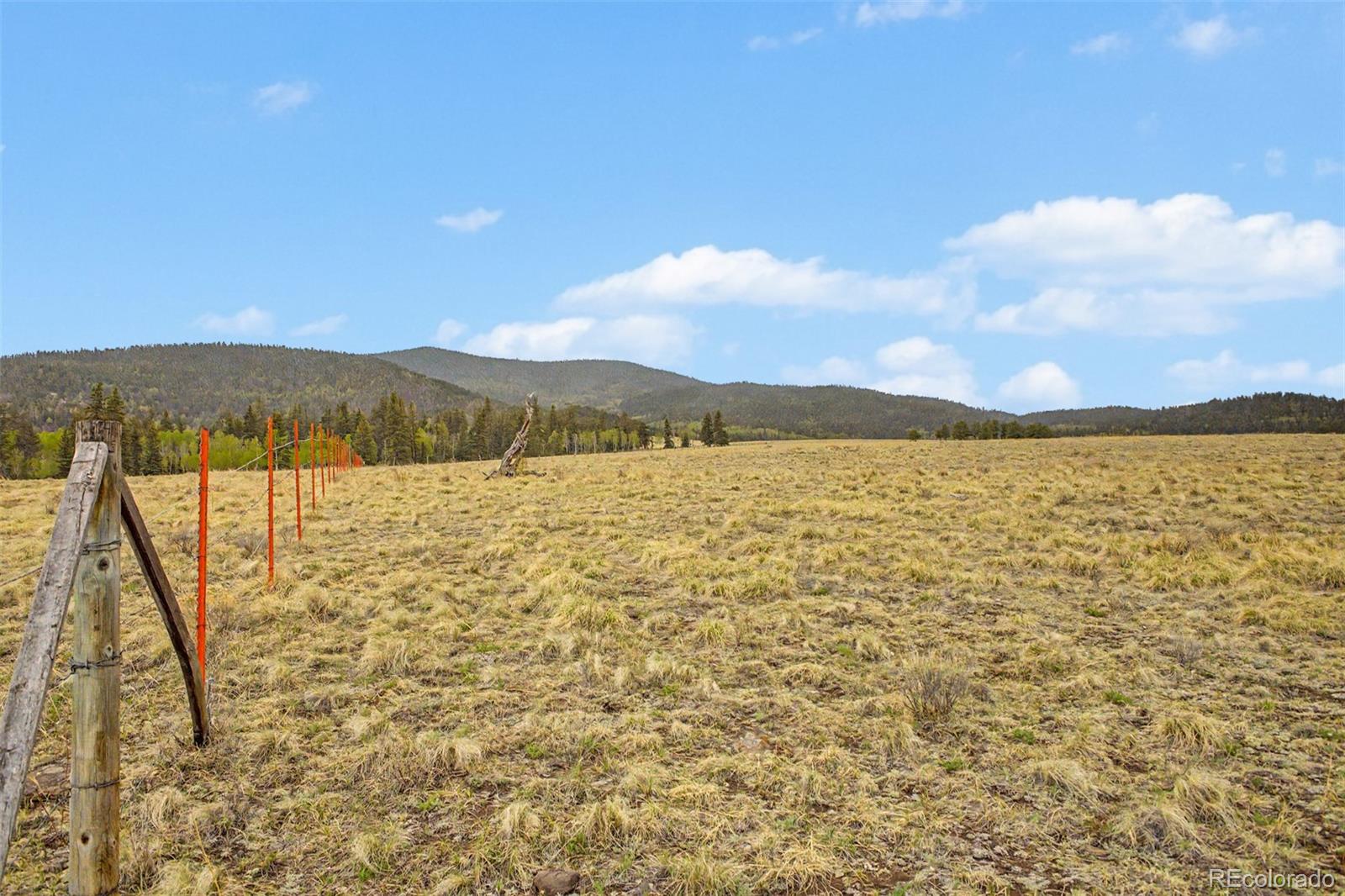 0 Ranger Station Road Florissant CO 80816