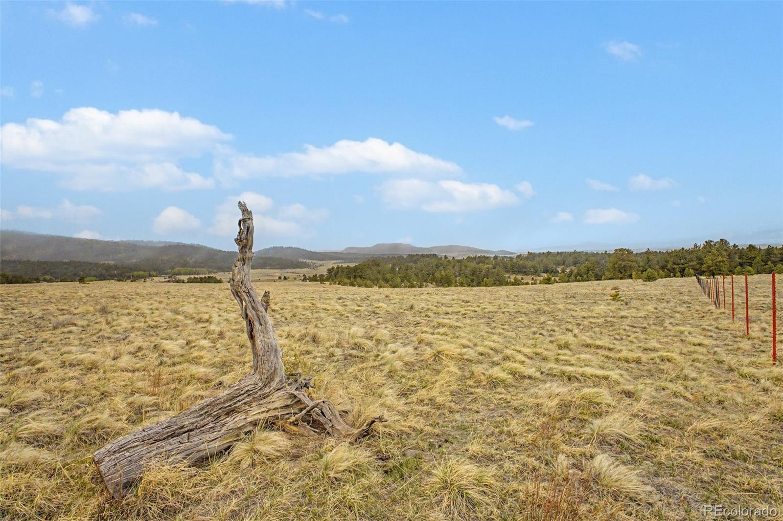 0 Ranger Station Road Florissant CO 80816