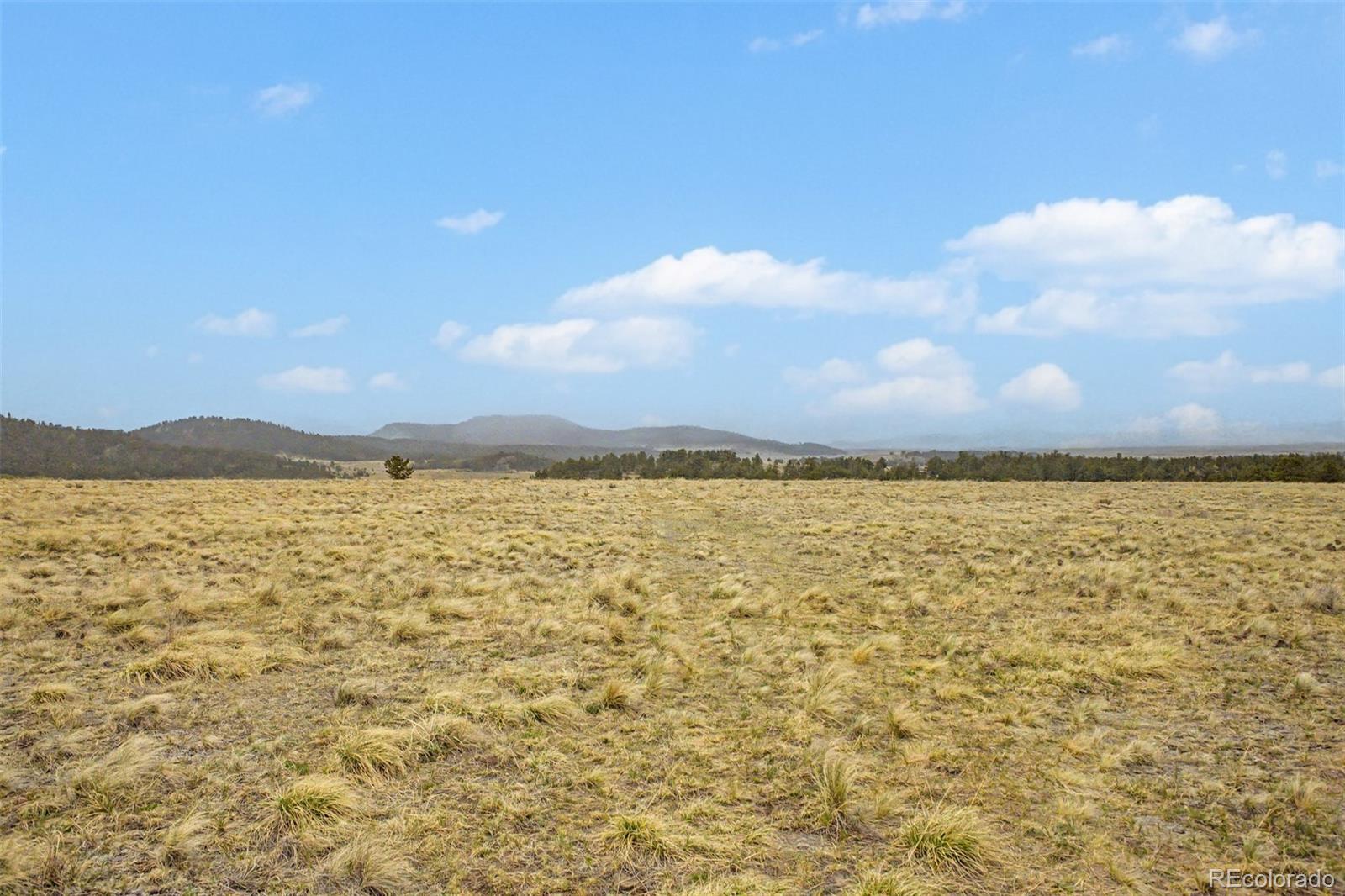 0 Ranger Station Road Florissant CO 80816