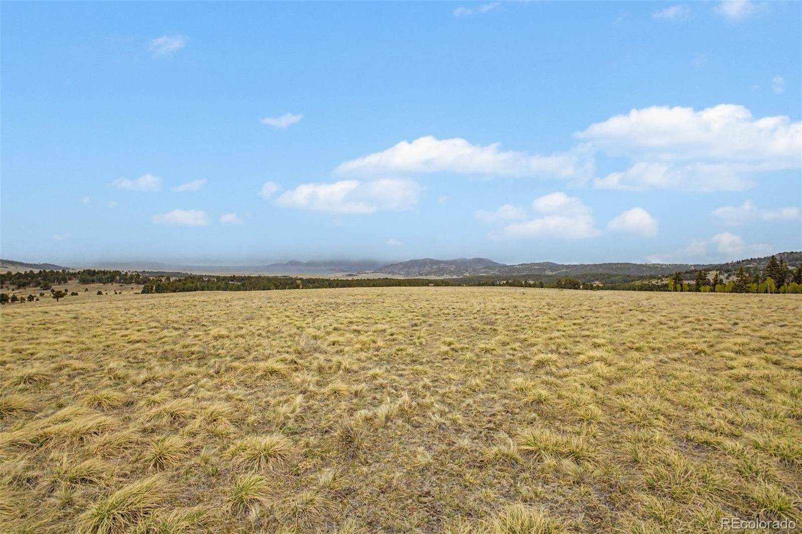 0 Ranger Station Road Florissant CO 80816