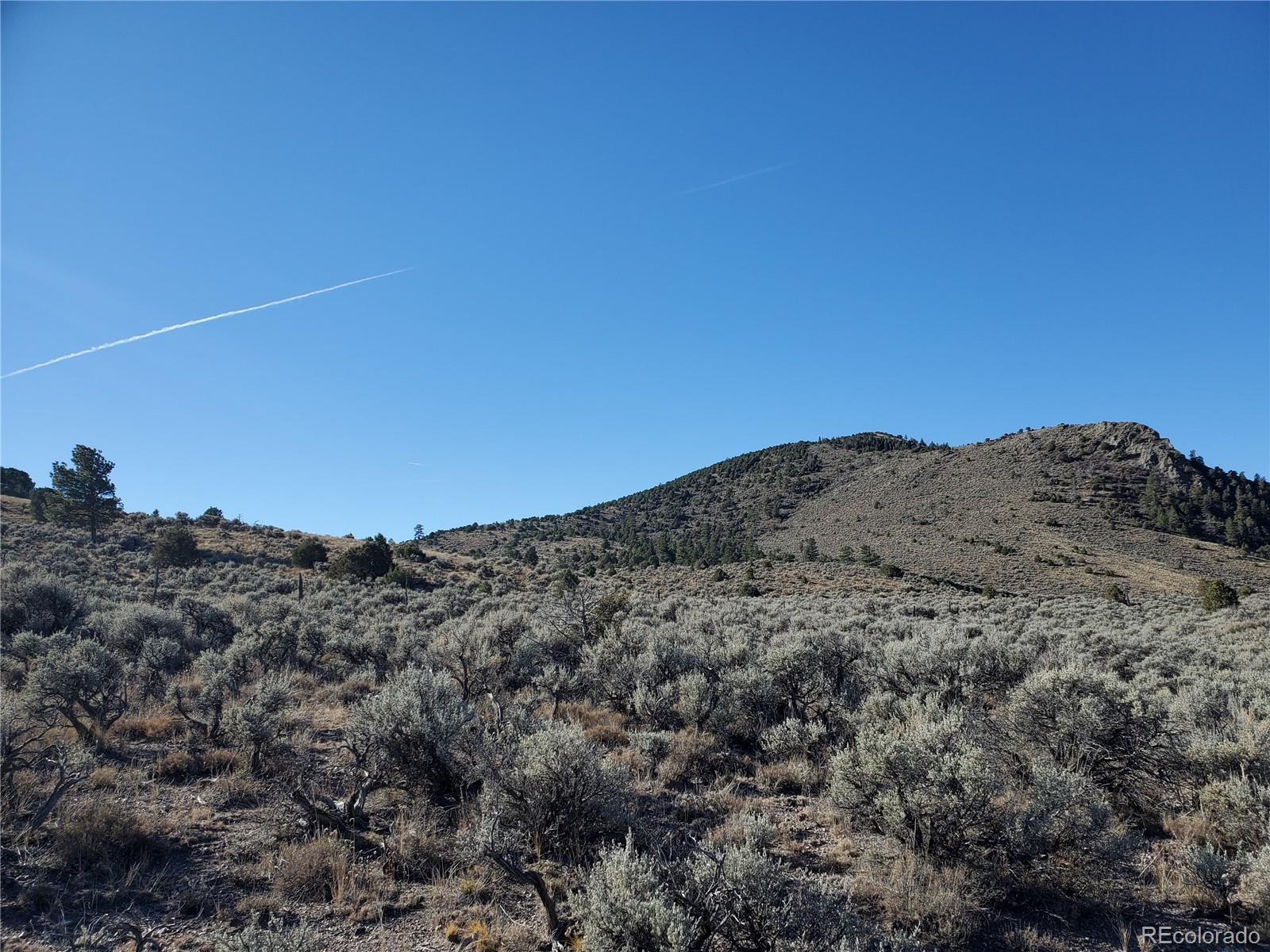 Lot 4601 Miller Road Fort Garland CO 81133
