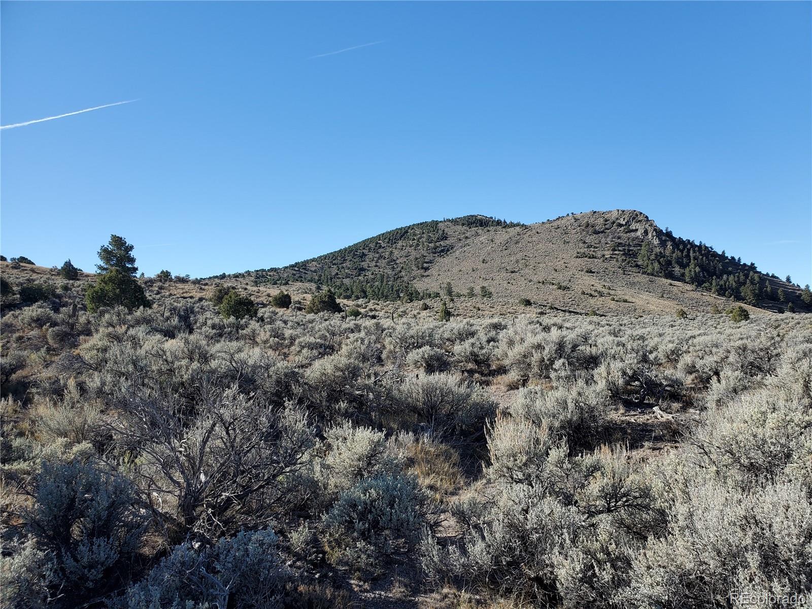 Lot 4601 Miller Road Fort Garland CO 81133