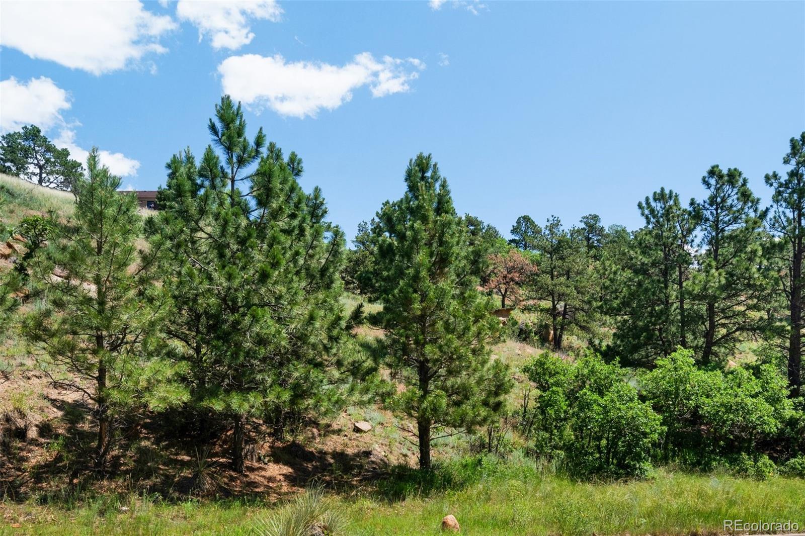 7137 Oak Valley Drive Colorado Springs CO 80919
