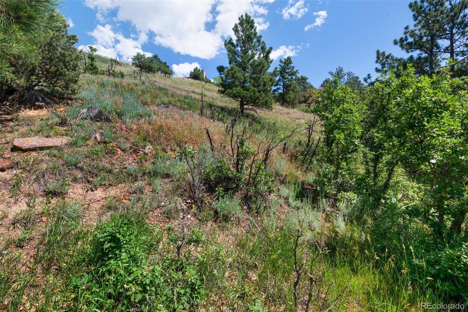 7137 Oak Valley Drive Colorado Springs CO 80919