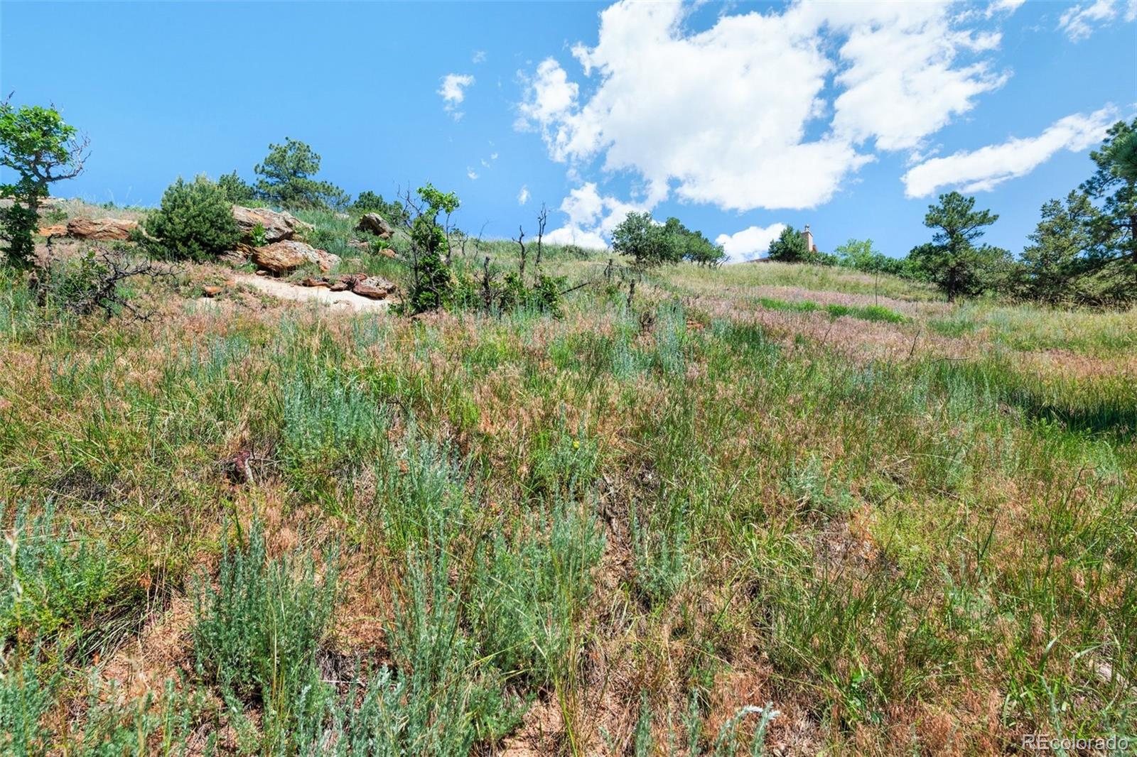 7137 Oak Valley Drive Colorado Springs CO 80919