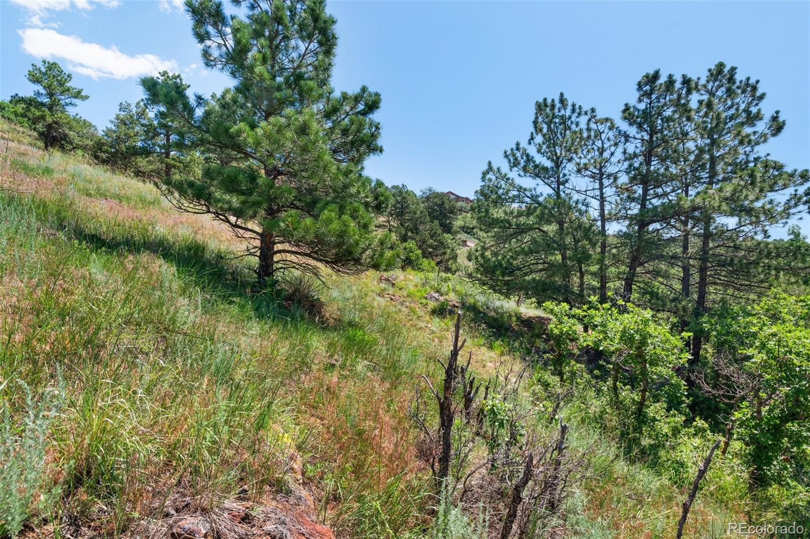 7137 Oak Valley Drive Colorado Springs CO 80919