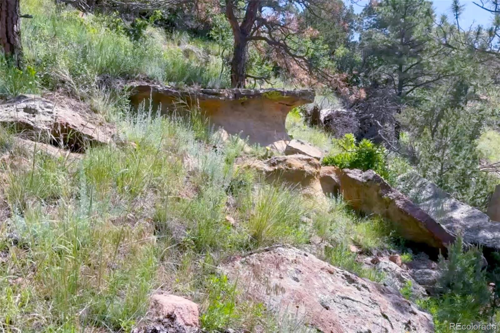 7137 Oak Valley Drive Colorado Springs CO 80919