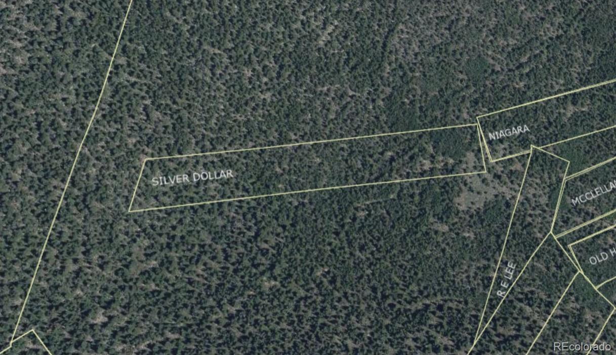 000 Silver Dollar Lode Georgetown CO 80444