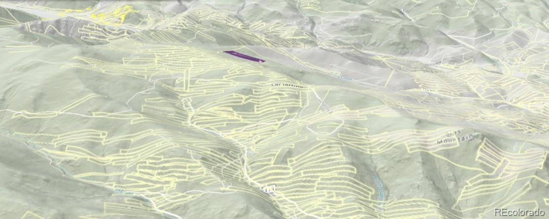 000 Silver Dollar Lode Georgetown CO 80444