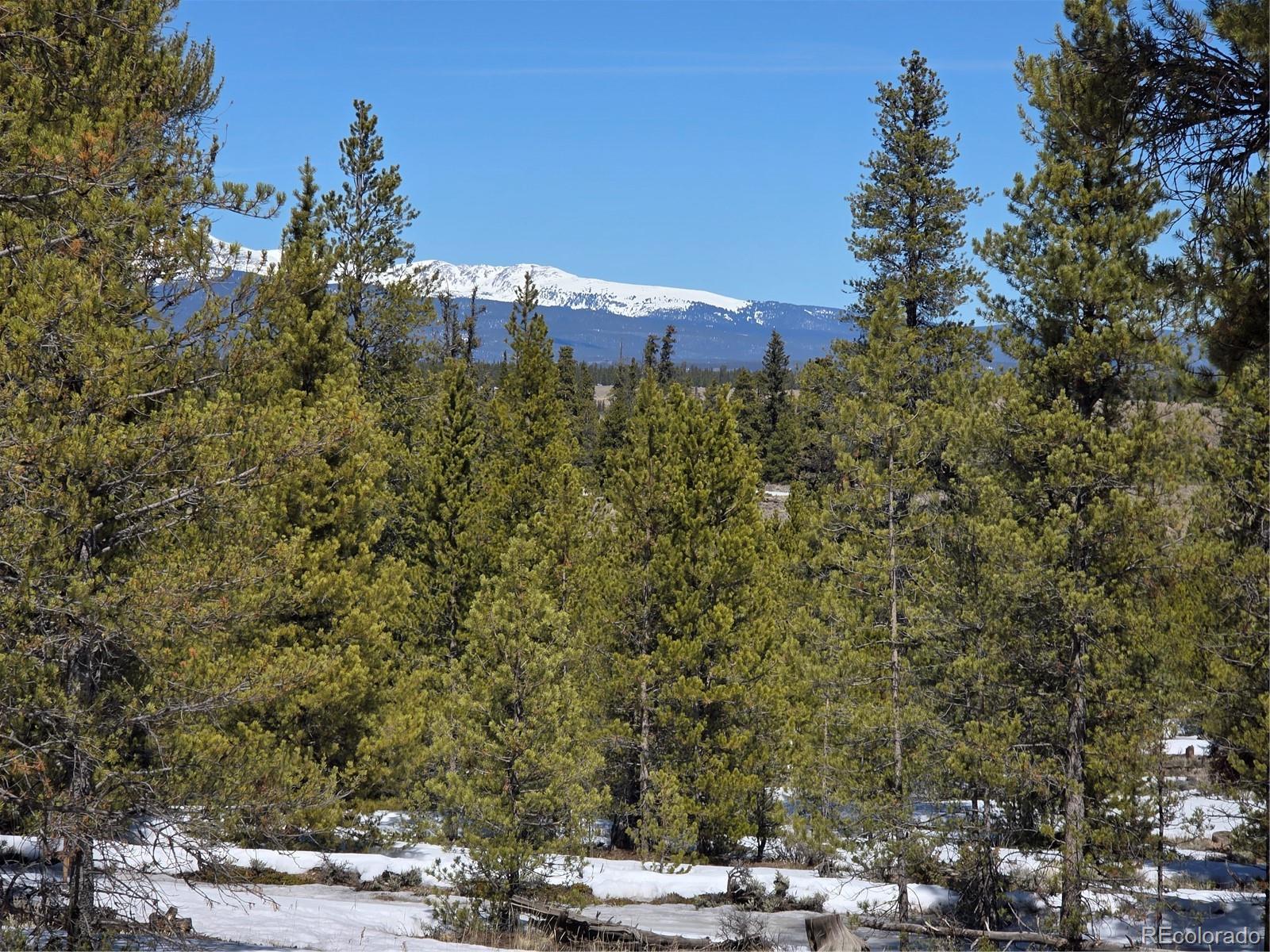 379 Lodgepole Drive Twin Lakes CO 81251