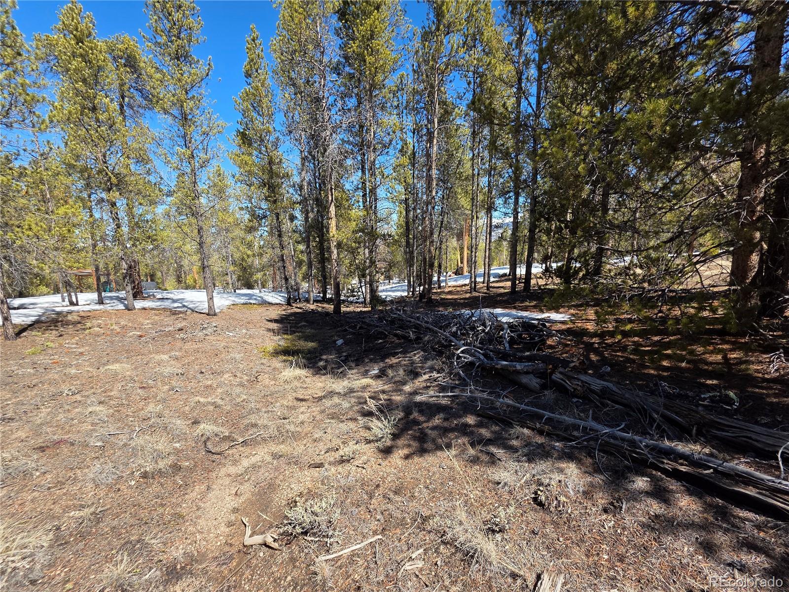 379 Lodgepole Drive Twin Lakes CO 81251