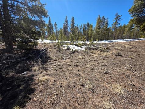 379 Lodgepole Drive Twin Lakes CO 81251