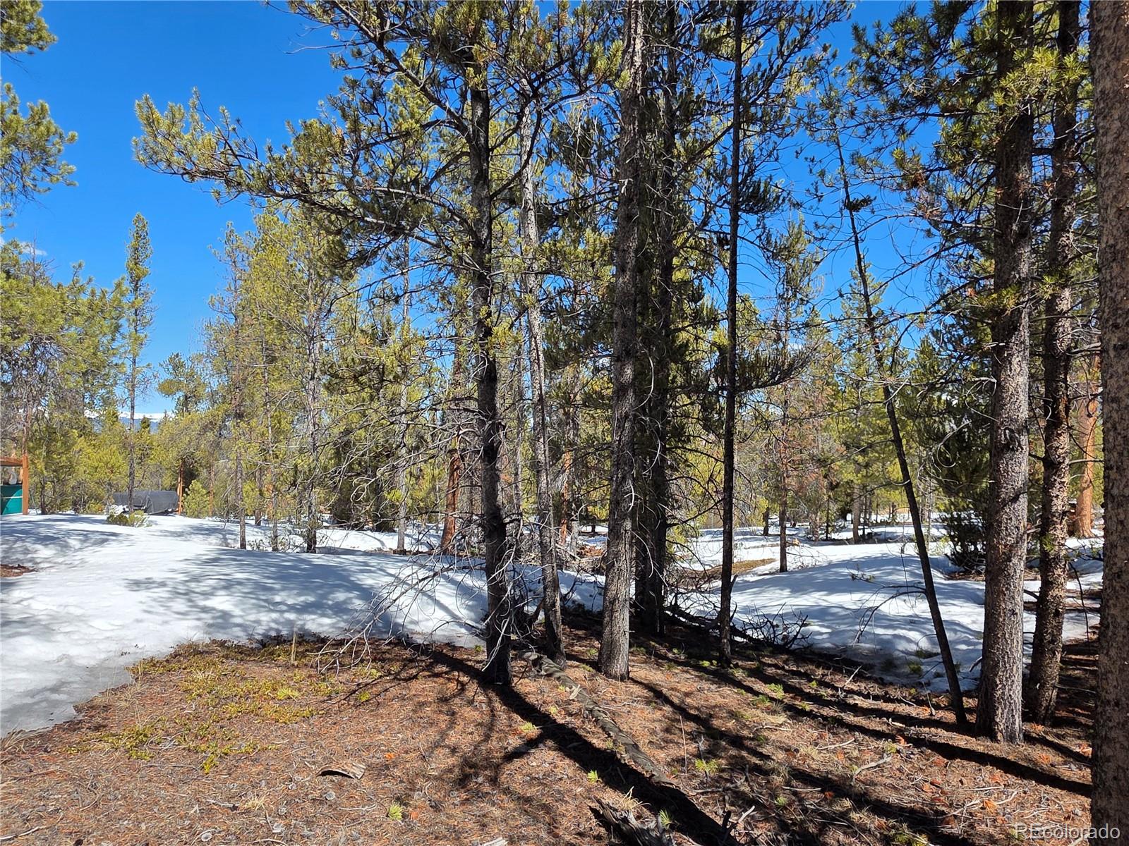 379 Lodgepole Drive Twin Lakes CO 81251