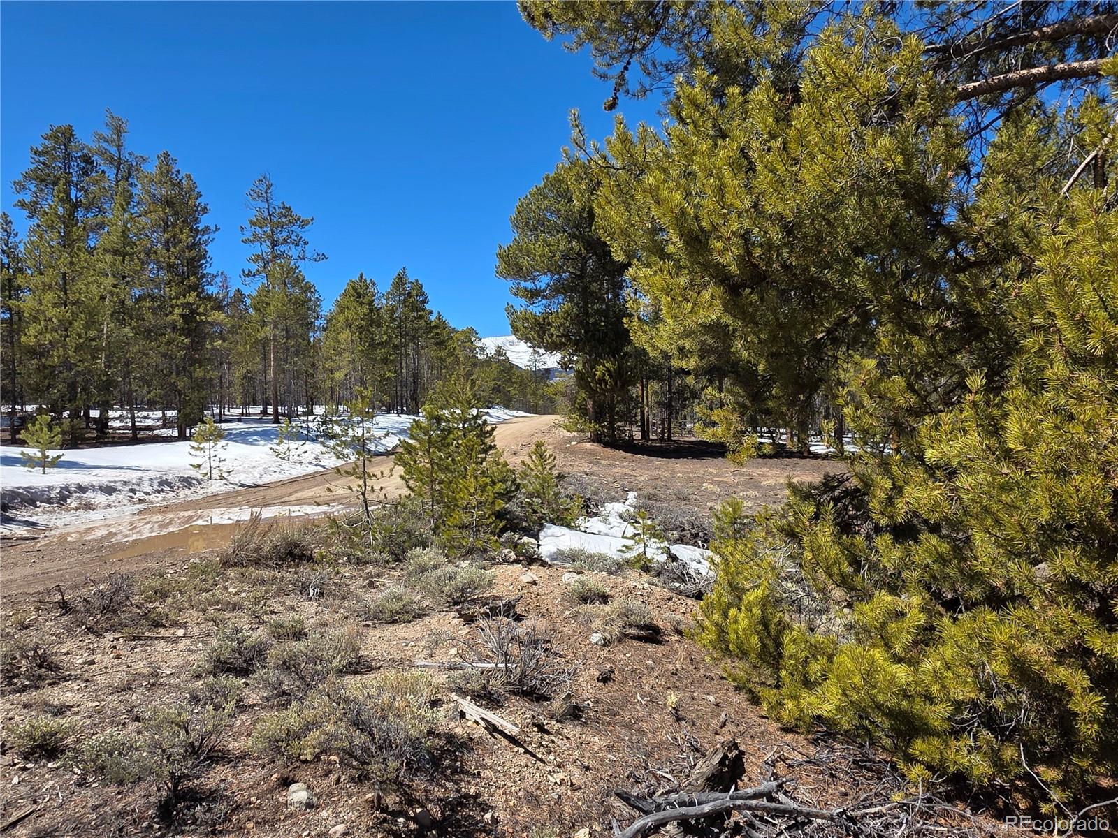 379 Lodgepole Drive Twin Lakes CO 81251