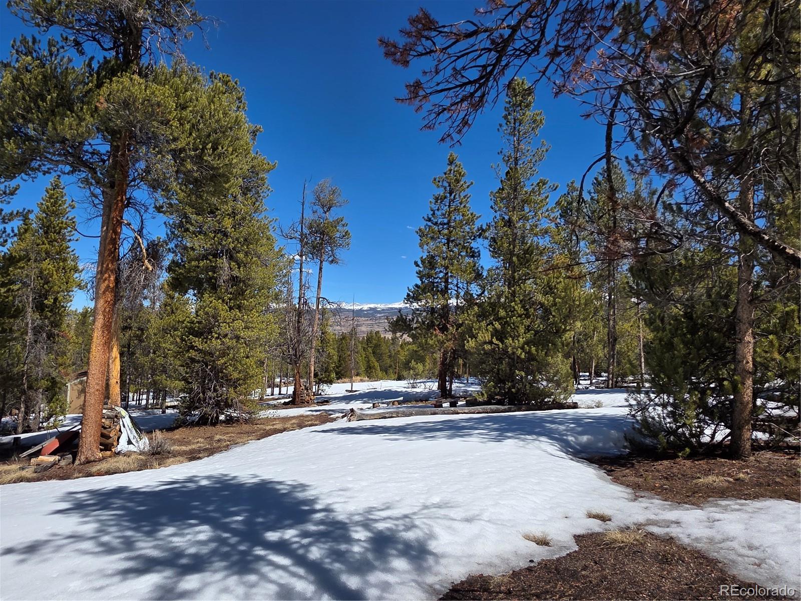 379 Lodgepole Drive Twin Lakes CO 81251